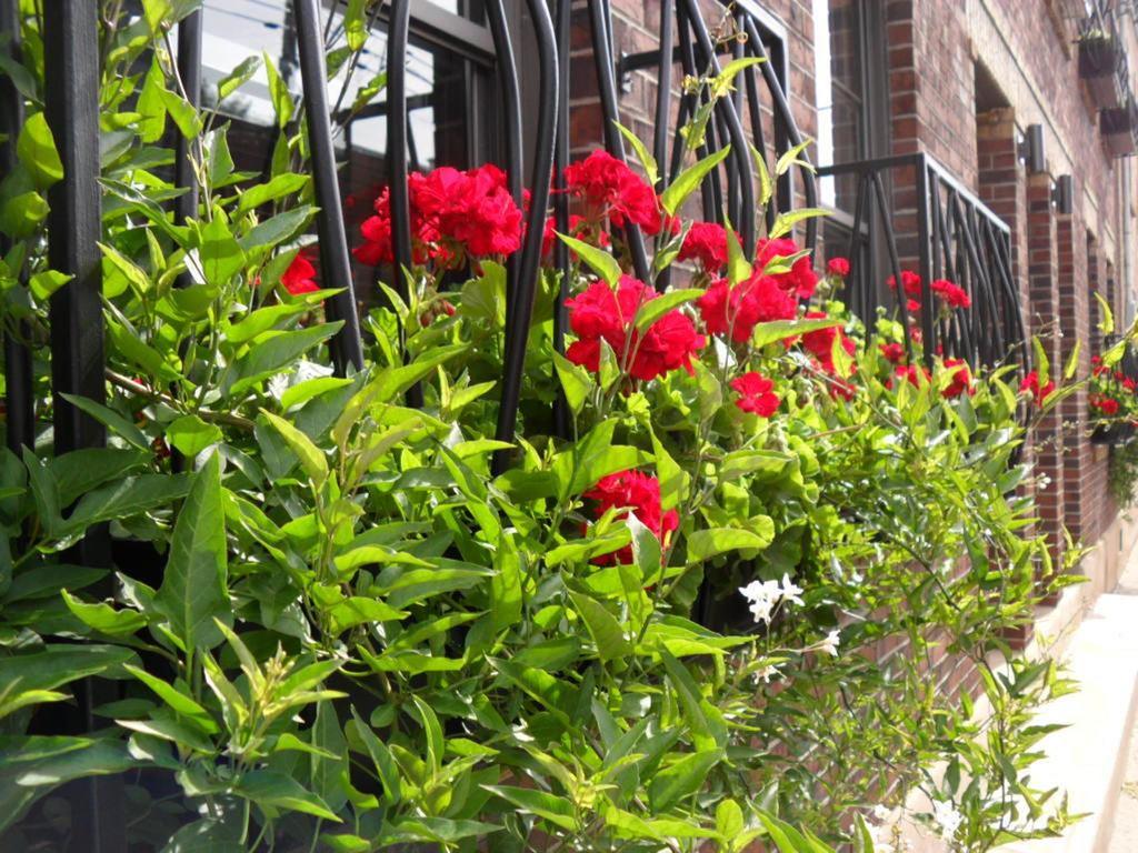 Studio Living Bed and Breakfast Montréal Exteriör bild