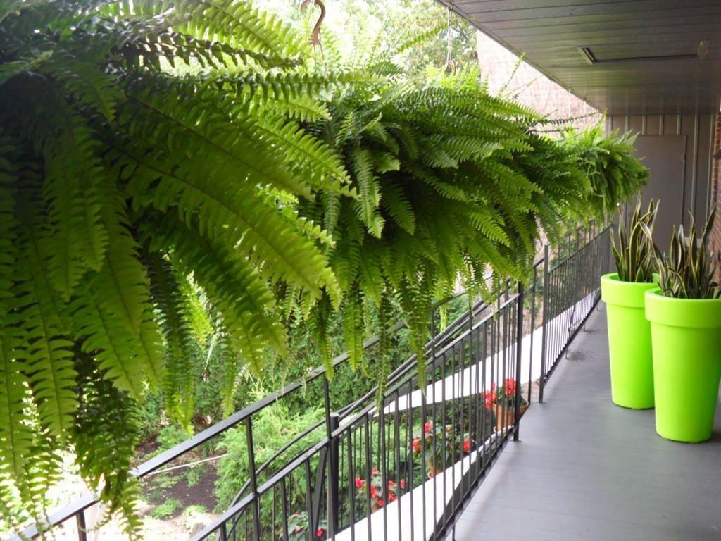 Studio Living Bed and Breakfast Montréal Exteriör bild